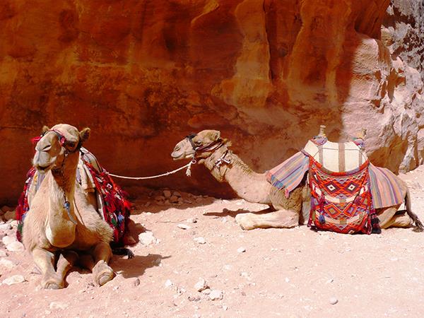 Tailor made holidays to Jordan