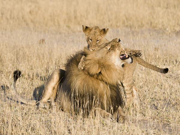 Zimbabwe holidays, tailormade
