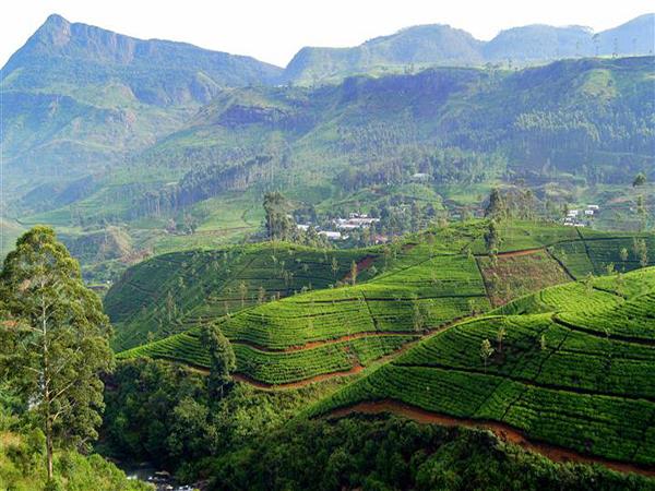 Sri Lanka holiday, wild escapes