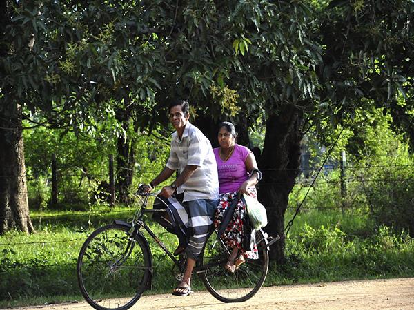 Sri Lanka highlights tour