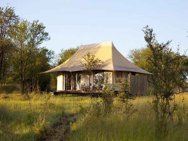 Tanzania  luxury safari