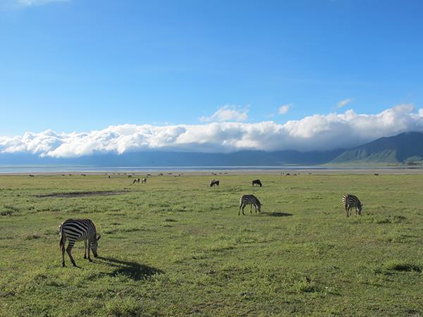 Tanzania  luxury safari