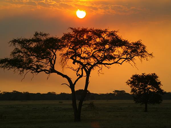 Tanzania  luxury safari
