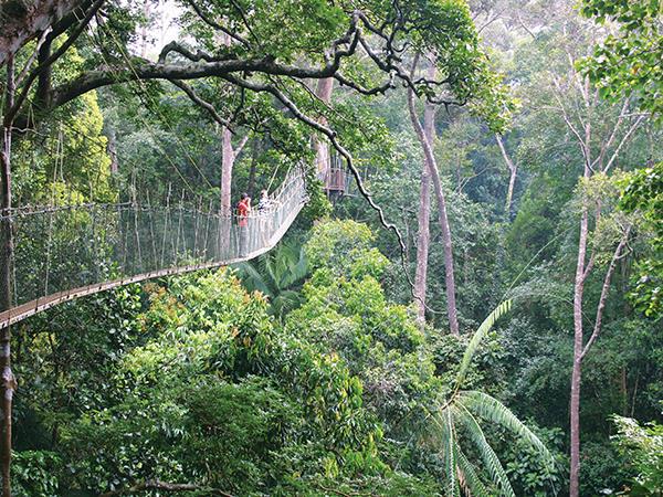 Malaysia tailor made holiday