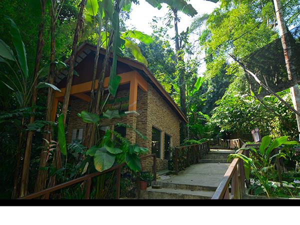 Malaysia tailor made holiday