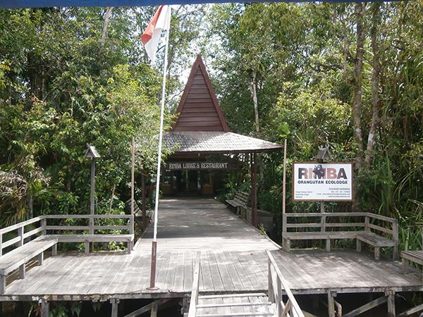 Camp Leakey and Tanjung Puting NP tour, 4 days