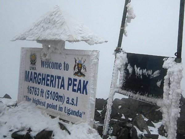 Gorilla and Rwenzori expedition in Uganda