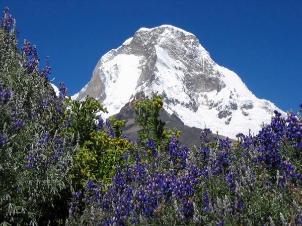 Peru tailor made holiday, highlights
