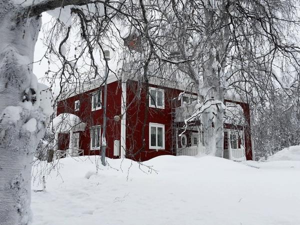 Northern Lights and wildlife holiday in Swedish Lapland