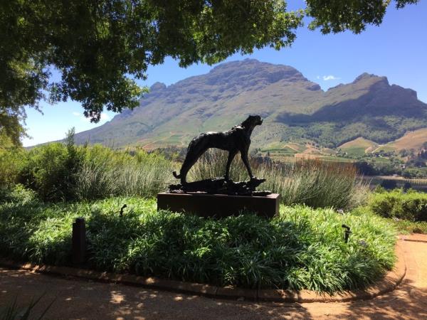 South Africa gourmet tour