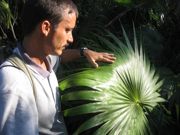 Walking holiday in Cuba