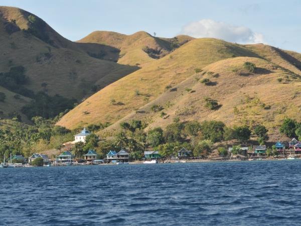 Komodo Dragons 4 day tour, Indonesia