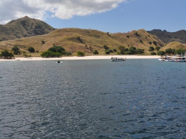 Komodo Dragons 4 day tour, Indonesia