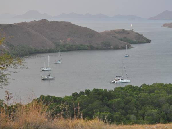 Komodo Dragons 4 day tour, Indonesia