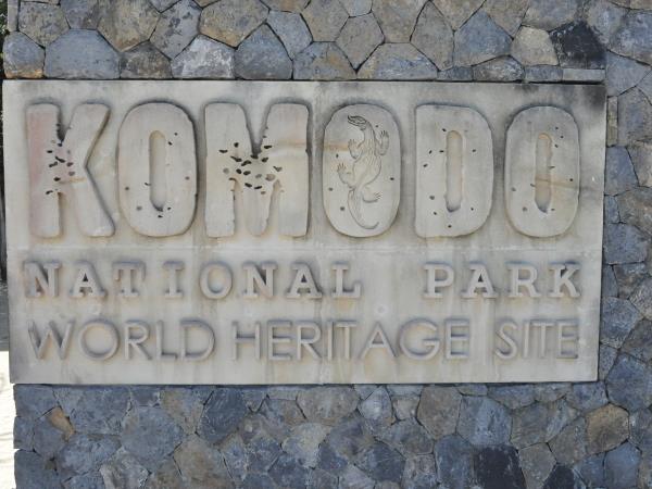 Komodo Dragons 4 day tour, Indonesia
