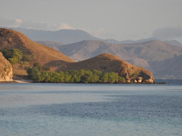 Komodo Dragons 4 day tour, Indonesia