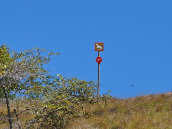 Komodo Dragons 4 day tour, Indonesia