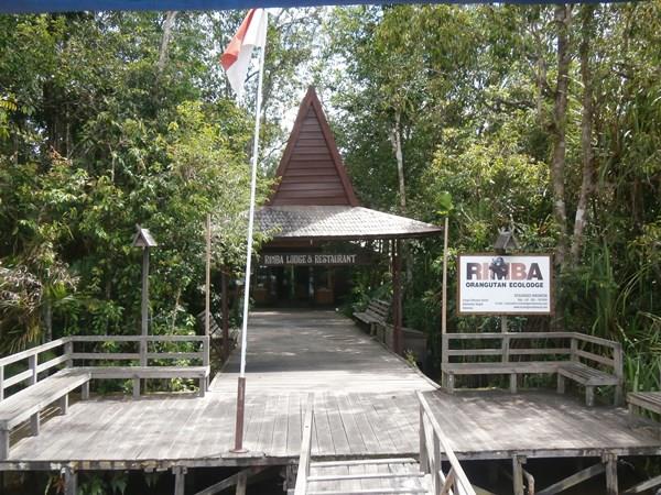 Indonesia tour, Kalimantan, Komodo & Bali