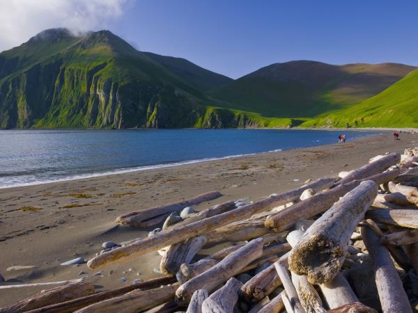 Kamchatka & the Commander Islands wildlife cruise