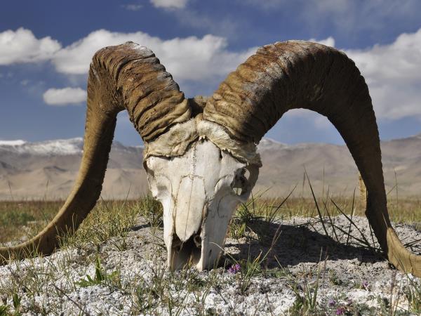 Tajikistan small group holiday