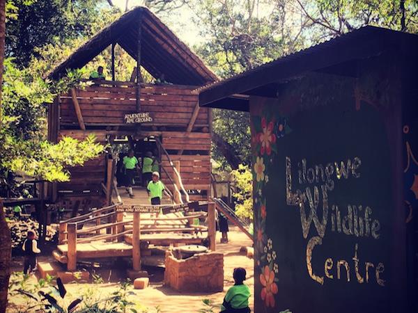 Malawi volunteering holiday