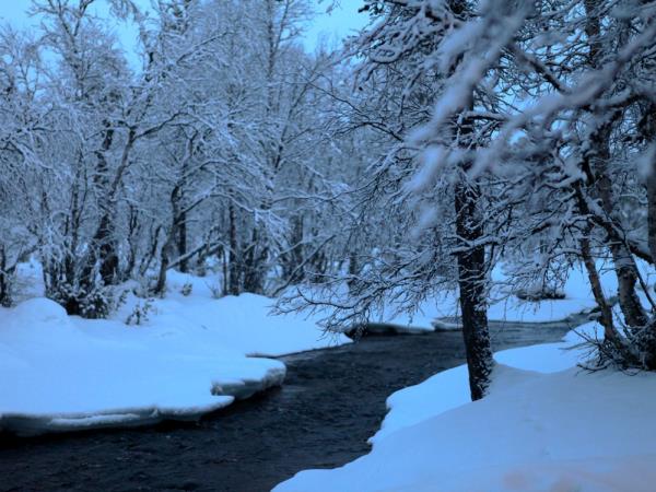Northern Lights activity holiday, Finnish Lapland