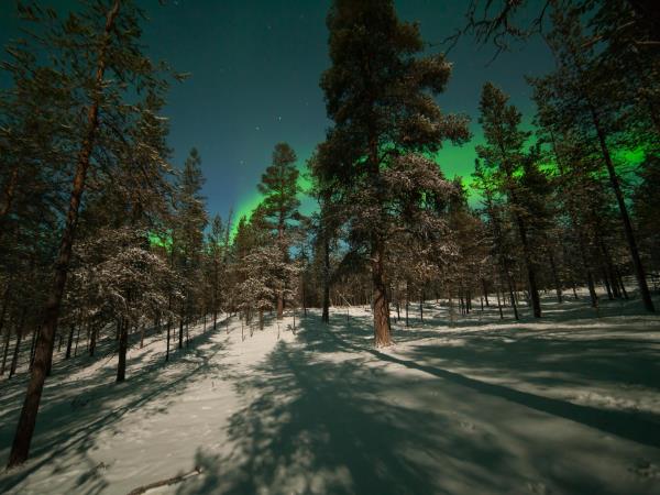 Northern Lights activity holiday, Finnish Lapland