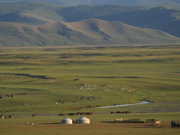 Mongolia Naadam Festival tour