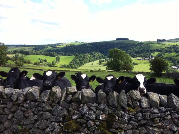 Peak District self catering cottages, England