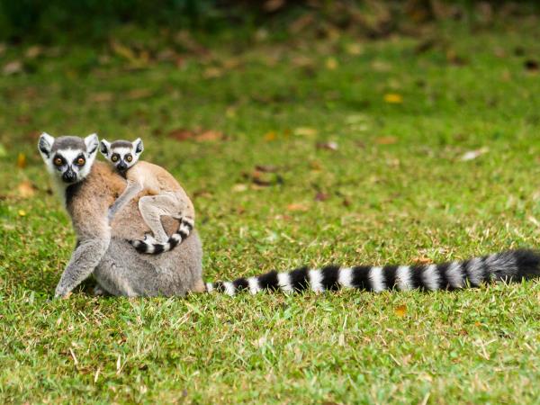 Madagascar holiday, overland adventure