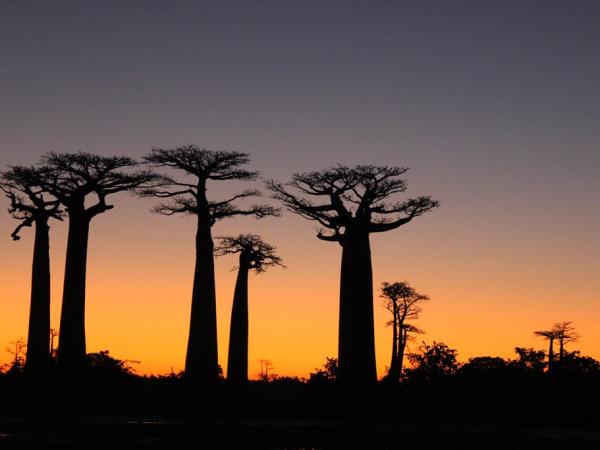 Madagascar holiday, overland adventure