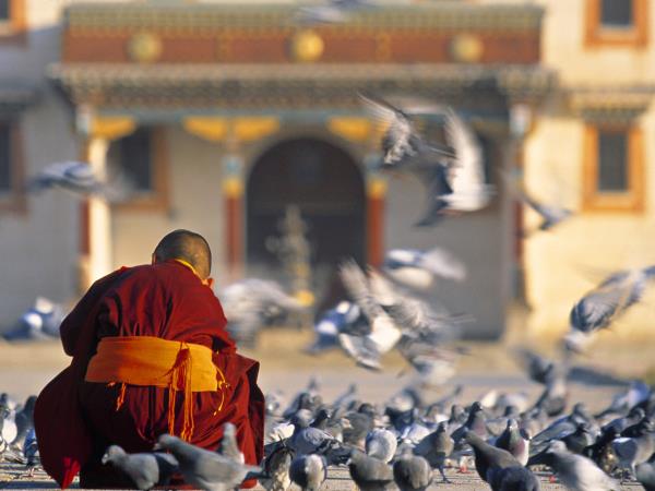 Adventure holidays in Mongolia