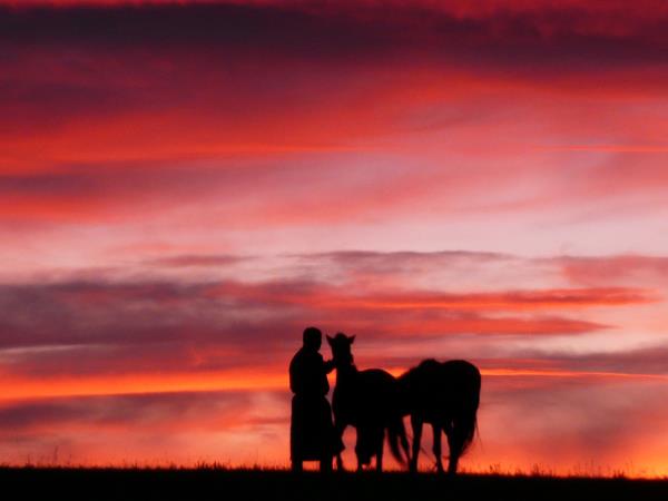 Adventure holidays in Mongolia