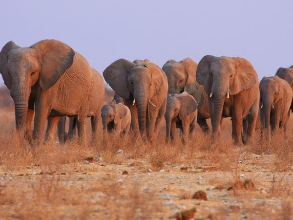 Holiday to Namibia
