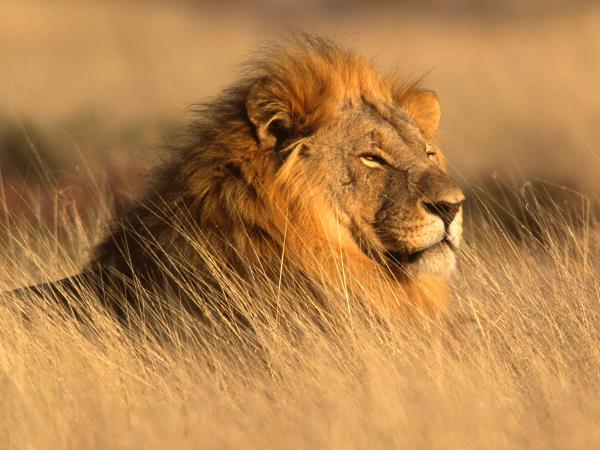 Holiday to Namibia