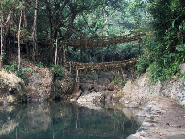 Nagaland small group holiday, India