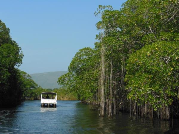 Jamaica tour, Jamaica Discovery