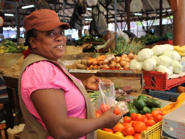 Jamaica tour, Jamaica Discovery