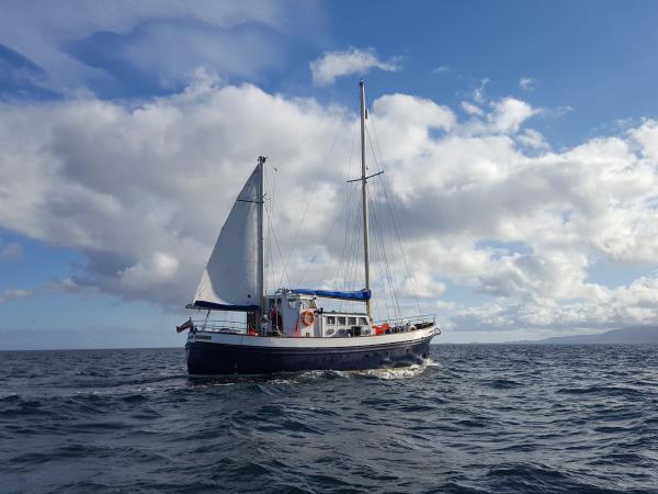 Whisky and wildlife sailing holiday in Scotland