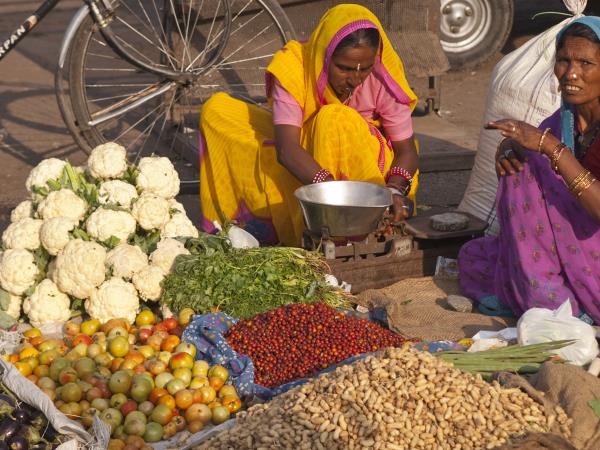 Rajasthan small group tour, India