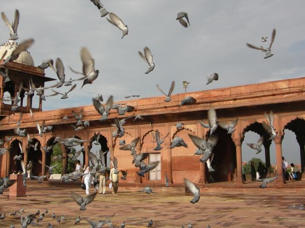 Rajasthan small group tour, India