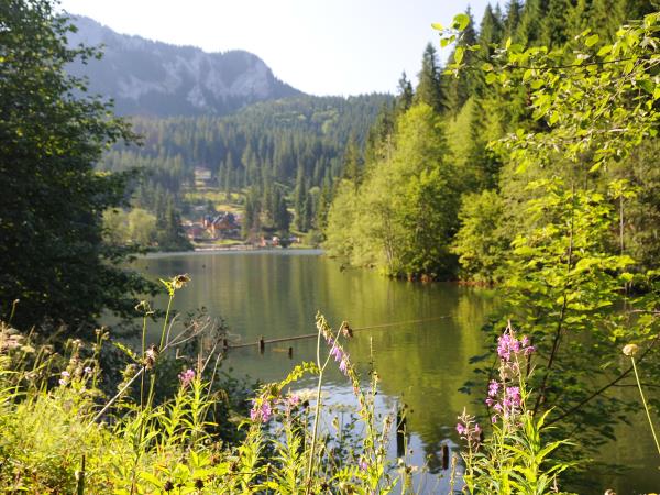 Romania walking holiday, Along the Enchanted Way tour