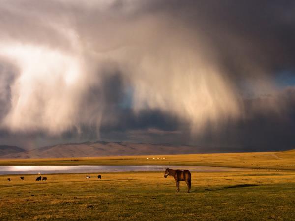 Silk Road cultural holiday, Kyrgyzstan & Uzbekistan