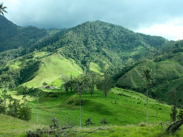 Colombia adventure holiday, viva Colombia