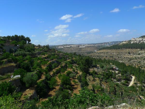Palestine walking holiday