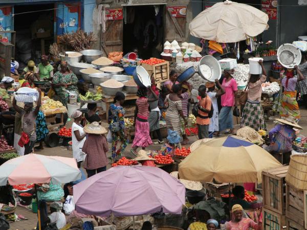 Ghana wildlife and cultural holiday