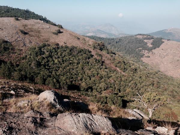 Ayurvedic cooking holiday in Southern India