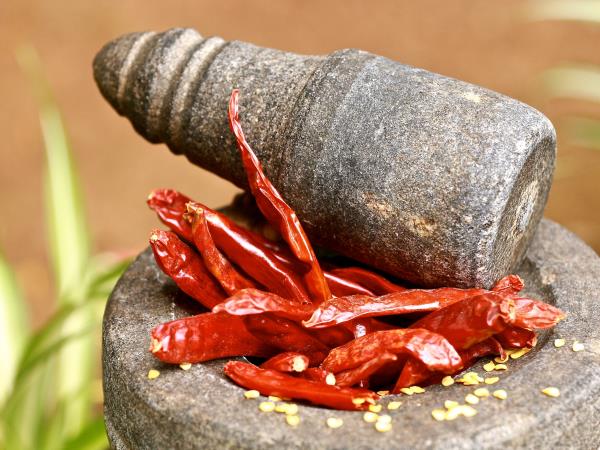 Ayurvedic cooking holiday in Southern India