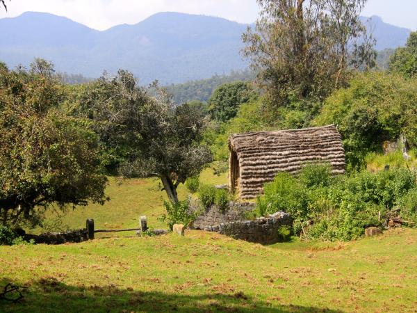 Ayurvedic cooking holiday in Southern India