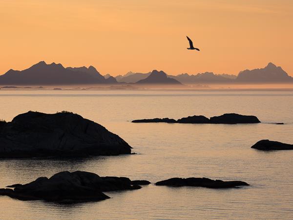 Lofoten Islands summer photography holiday, Norway